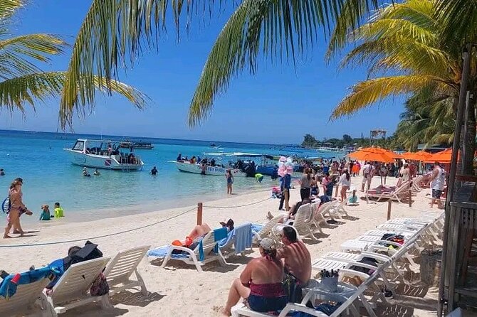 Roatan Sloths & Monkeys, Chocolate Factory plus Beach Break - Leaving the port and crossing Roatan