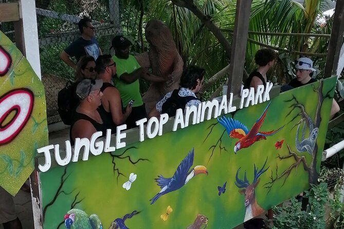 Roatan Sloths & Monkeys, Chocolate Factory plus Beach Break - Rum Company views and rum cake