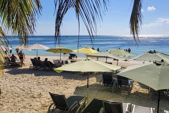 Roatan Sloths & Monkeys, Chocolate Factory plus Beach Break - What $75 buys you
