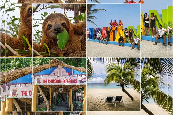 Roatan Sloths & Monkeys, Chocolate Factory plus Beach Break - French Harbour and the animal park