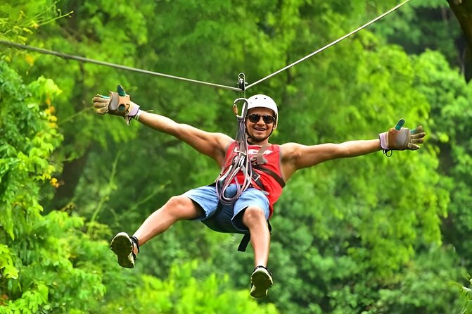 Roatan Zipline Adventure, Sloths & Monkeys,Chocolate Factory Tour - A close animal visit, with modest expectations