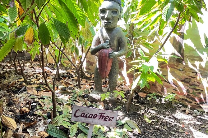 Sabor Dominicano: Rum, Chocolate and Culture Private Tour - Dominican lunch at Como En Familia