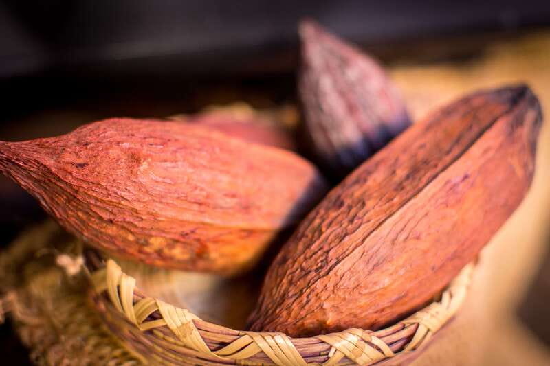 San Miguel de Allende: Chocolate Tasting and Walking Tour - What the five tastings can teach you