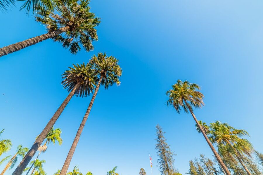 Santa Barbara: Wine, Chocolate and History Walking Tour - Timing, language, and flexibility