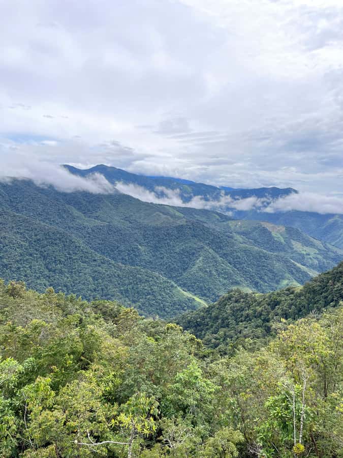 Santa Marta: Minca Coffee, Cocoa, & Waterfall Full-Day Trip - Making chocolate after lunch