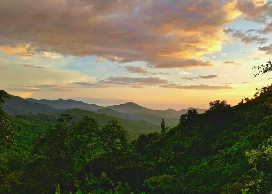 Santa Marta: Minca Coffee, Cocoa, & Waterfall Full-Day Trip - Who should book this Minca tour?
