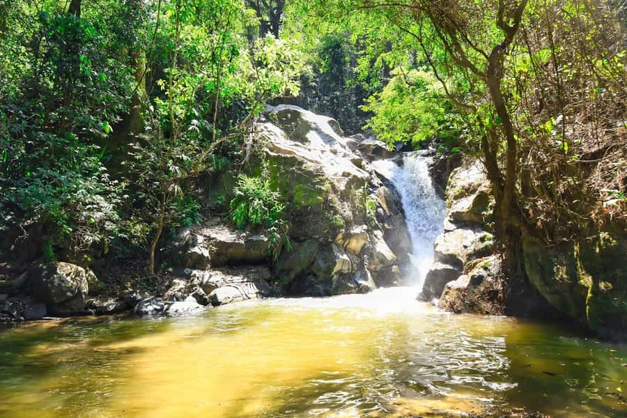 Santa Marta: Minca Coffee, Cocoa, & Waterfall Full-Day Trip - What to pack for nine hours in Minca