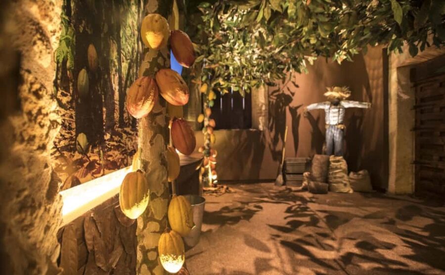 Santo Domingo: Chocolate Tour + Optional Workshops - Choosing the cacao butter soap workshop