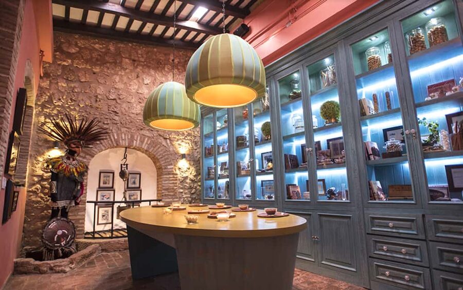 Santo Domingo: Chocolate Tour + Optional Workshops - Meeting cacao in the plantation room