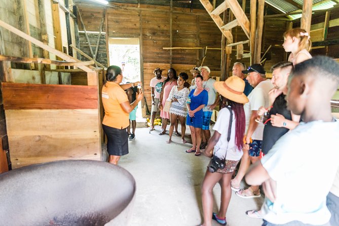 Soufriere Excursion with Rum & Chocolate Tasting - What the Boat Day Feels Like