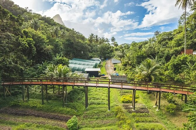 St Lucia Airport Transfer to Hotel Chocolat - What the driver service adds to a simple airport transfer