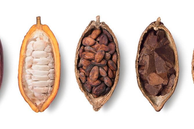 Swiss Chocolate Tasting Experience | Basel - A short Basel tasting with a clear purpose