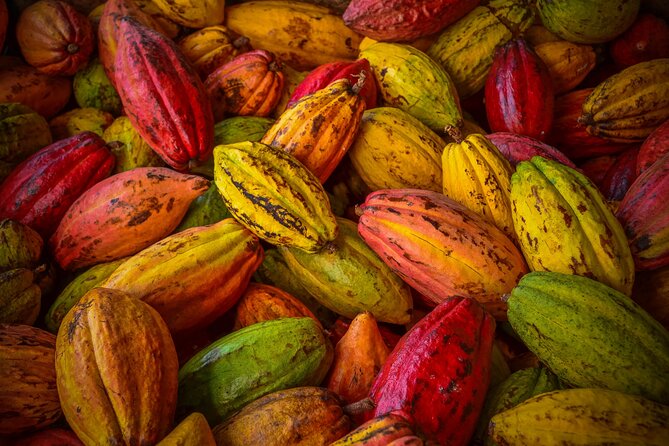 Swiss Chocolate Tasting Experience | Basel - Pace and presentation