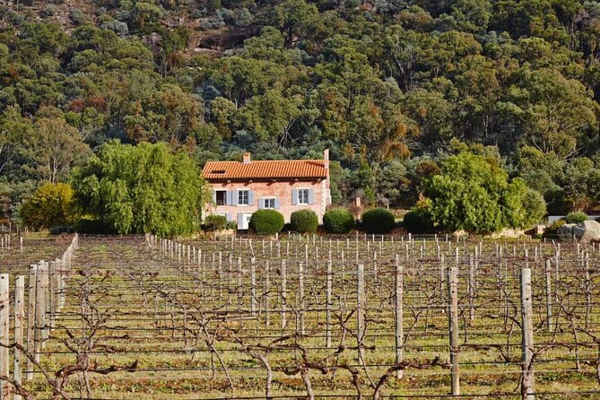 Sydney to Hunter Valley Wine Tour | Gin, Lunch, Chocolatier Visit - The optional gin and chocolatier stops