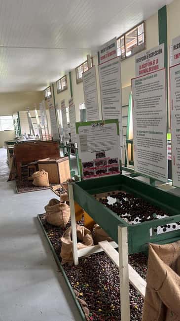 Taste & Explore Grenada: Rum, Chocolate & Spice Journey - Laura Herb Garden, where the plants take center stage