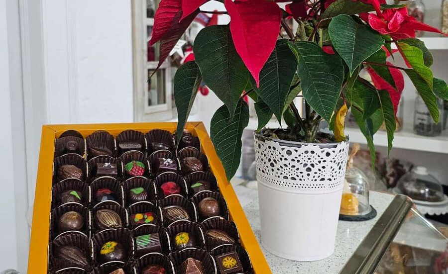 Tavira City & Chocolate - Key details at a glance