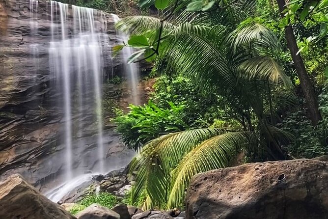 Taxi & Tours in Grenada , Chocolate factory, & more. - St. George’s, the Carenage, and Fort Frederick