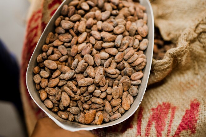 The Art of Chocolate Making Bean-To-Bar Experience in Cape Town - Sustainability, transparency, and direct sourcing