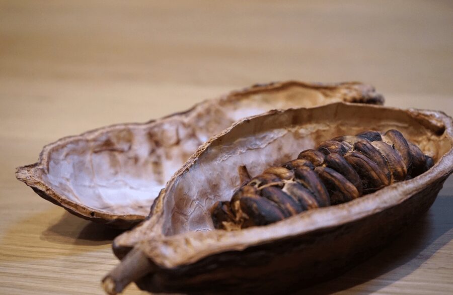 The Turin Chocolate Tasting Experience - Who should book this chocolate walk