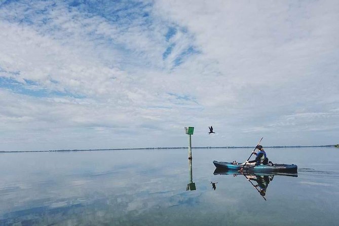 Thousand Island Mangrove Tunnel, Manatee & Dolphin Kayak Tour w/Cocoa Kayaking - Through the mangrove tunnels