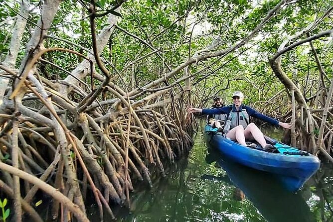 Thousand Island Mangrove Tunnel, Manatee & Dolphin Kayak Tour w/Cocoa Kayaking - Open water, dolphins, and manatees