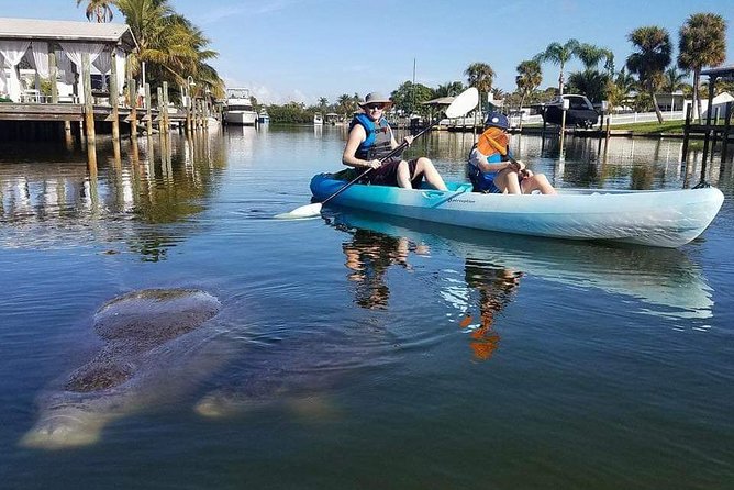 Thousand Island Mangrove Tunnel, Manatee & Dolphin Kayak Tour w/Cocoa Kayaking - What the guides add to the scenery