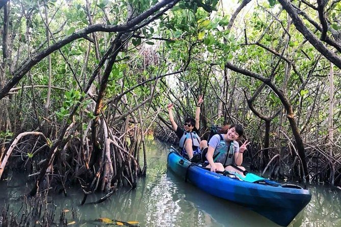 Thousand Island Mangrove Tunnel, Manatee & Dolphin Kayak Tour w/Cocoa Kayaking - Photos, equipment, and what to pack
