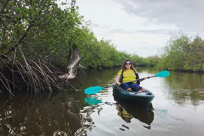 Thousand Island Mangrove Tunnel, Manatee & Dolphin Kayak Tour w/Cocoa Kayaking - Getting comfortable before the paddle