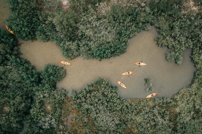 Thousand Islands Mangrove Tunnel Kayak Tour with Cocoa Kayaking! - Who should book this Cocoa Beach kayak tour