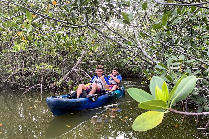 Thousand Islands Mangrove Tunnel Sunset Kayak Tour with Cocoa Kayaking! - Wildlife sightings, from manatees to dolphins