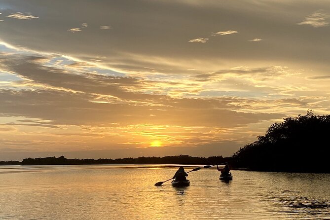 Thousand Islands Mangrove Tunnel Sunset Kayak Tour with Cocoa Kayaking! - Guides who shape the pace and mood