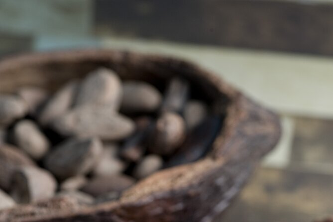 Tour to Uxmal , Cenote Sambula and Chocolate Museum Story - Should you book the Uxmal, Cenote Sambula, and Chocolate Museum tour?