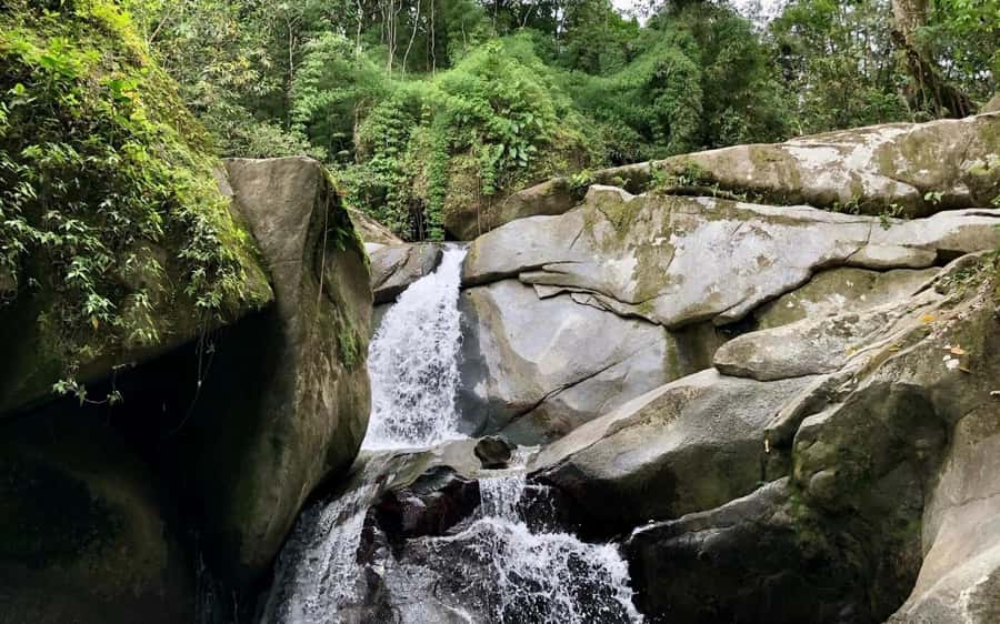 Trekking History and Indigenous Heritage in Minca + Cacao & Coffee + Waterfall - Key points at a glance