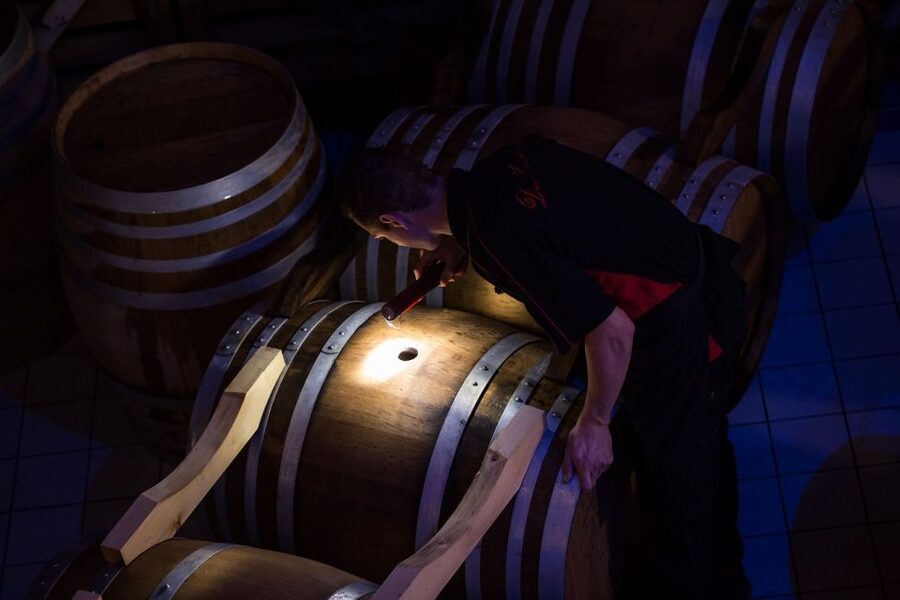 Trio Chocolaté - Tour en français - Champagne Passy-Grigny - Learning the grapes behind the bottle