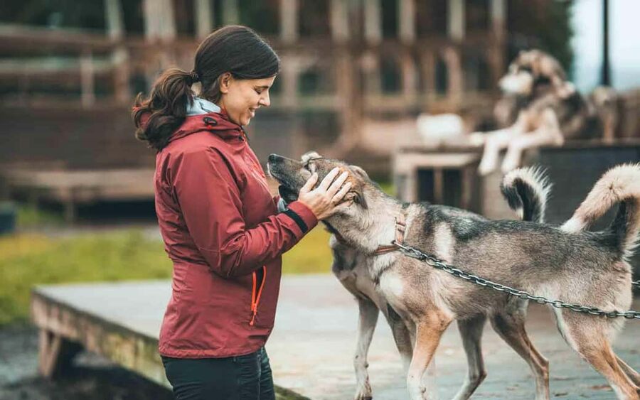 Tromsø: Husky Meet and Greet with Homemade Chocolate Cake - Who will enjoy this husky visit most