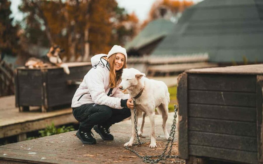 Tromsø: Husky Meet and Greet with Homemade Chocolate Cake - The puppy enclosure and free time with the dogs