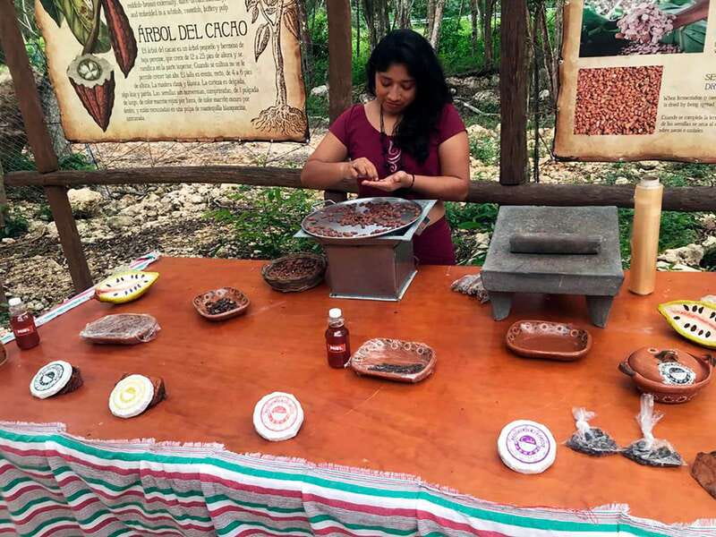 Tulum: Chocolate & Honey Sanctuary Experience with Lunch - Cacao on the metate, from bean to drink