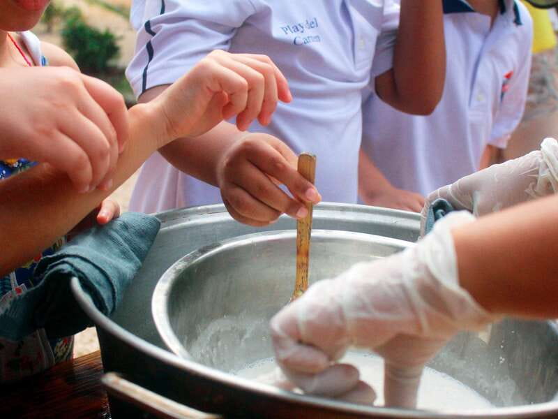 Tulum: Chocolate & Honey Sanctuary Experience with Lunch - A lunch built around chocolate and honey