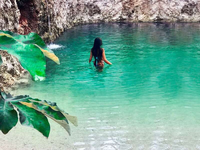 Tulum: Chocolate & Honey Sanctuary Experience with Lunch - The hosts, pace, and atmosphere