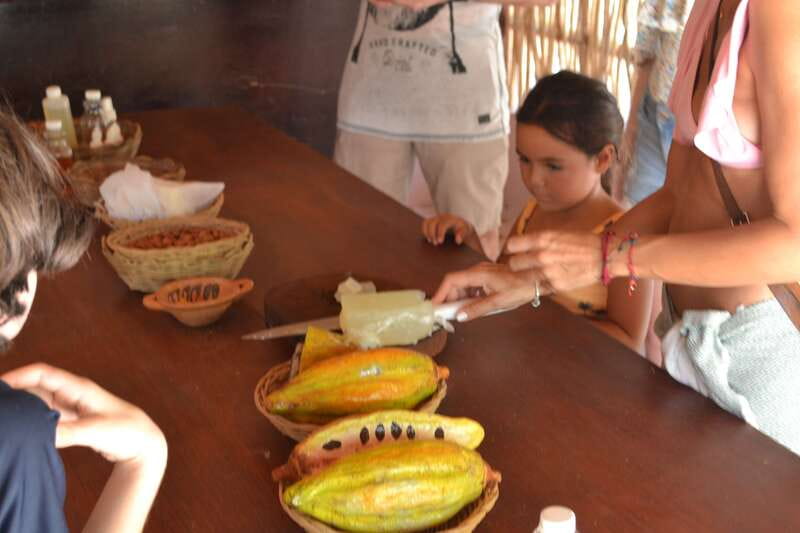 Tulum: Chocolate & Honey Sanctuary Experience with Lunch - Who should book this experience?
