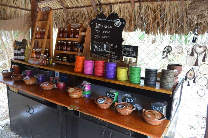 Tulum: Chocolate & Honey Sanctuary Experience with Lunch - Should you book it?