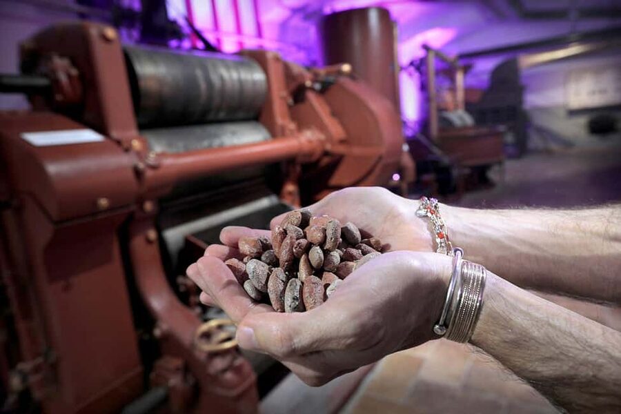 Turin: Visit to the Chocolate and Gianduja Museum, Choco-Story Torino - A family-friendly stop with enough substance