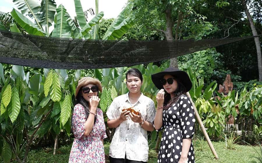 Ubud: Chocolate Workshop, Class & Tasting - Is $24 a fair price?