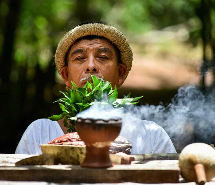Uxmal: Choco History Museum & Cenote - Should you book Uxmal, the Chocolate Museum, and the cenote?