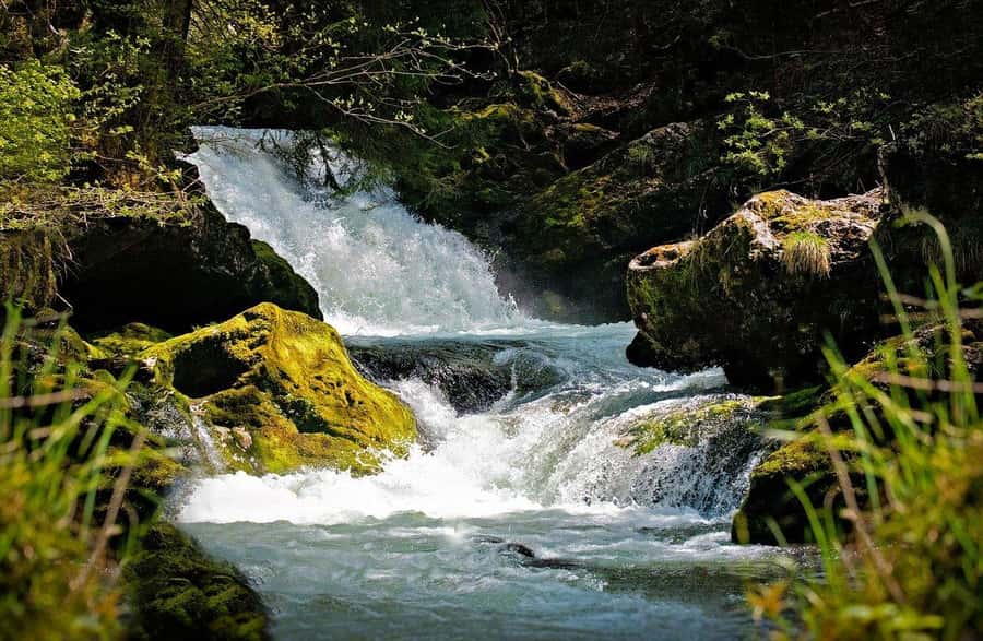 Visit Aburi Garden, Tetteh Quarshie Cocoa Farm & Waterfall - Key points to know before booking