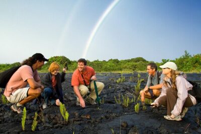 Volcano, Chocolate and Waterfalls of the Big Island