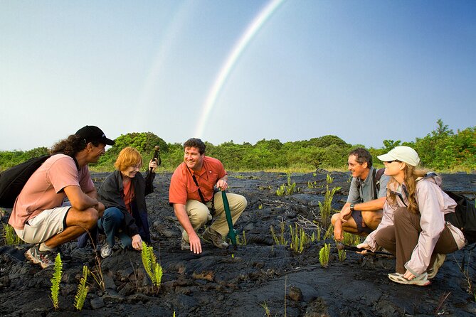 Volcano, Chocolate and Waterfalls of the Big Island - Four hours in Hawaii Volcanoes National Park