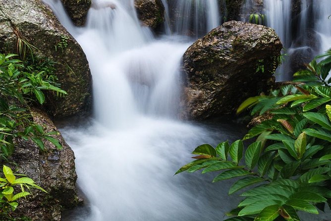 Waterfall, #1 On The Road to Hana, With Chocolate tour Historical - Following the old trails toward the waterfall