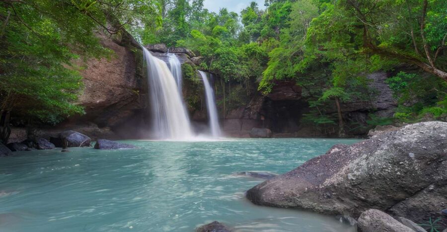 Waterfall, Chocolate Tour, Rainforest, Royal Historical - The rainforest walk and giant ferns