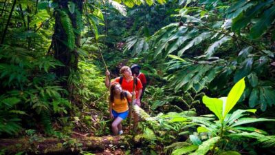 Waterfall, Chocolate Tour, Rainforest, Royal Historical